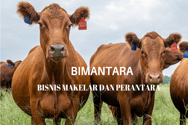 PILKADA BLORA: KANDIDAT MASIH SEPI, MAKELAR POLITIK UNJUK&nbsp;GIGI