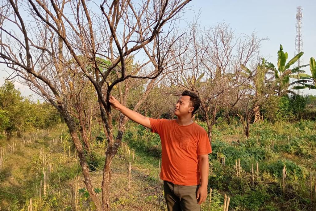 NESTAPA PETANI DI BLORA AKIBAT KEKERINGAN&nbsp;EKSTREM